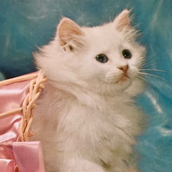 1960's Bobbi Brooks Cardigan - Picture 10 of 10